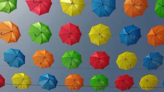Czy można przewozić parasol w bagażu podręcznym? Sprawdź zasady i porady